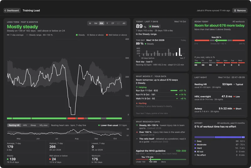 The Training Load page: a seven day against twenty-eight day ratio with the steady band marked.